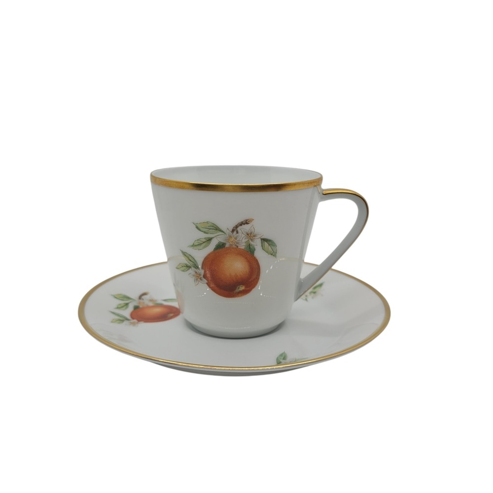 Hutschenreuther Noblesse Pasco Demitasse Cup Saucer Set Orange Gold Germany